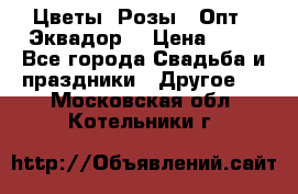 Цветы. Розы.  Опт.  Эквадор. › Цена ­ 50 - Все города Свадьба и праздники » Другое   . Московская обл.,Котельники г.